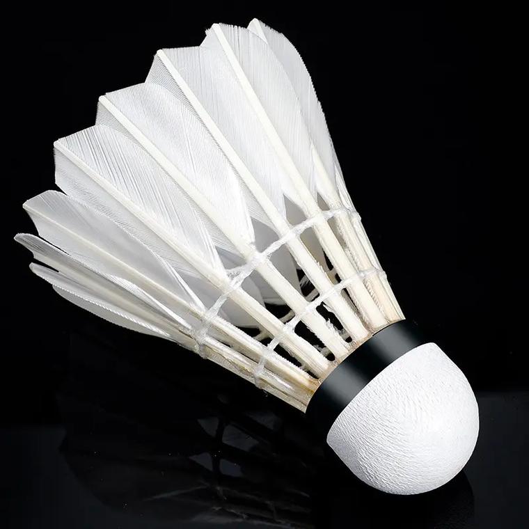 球队的较量 球队的较量