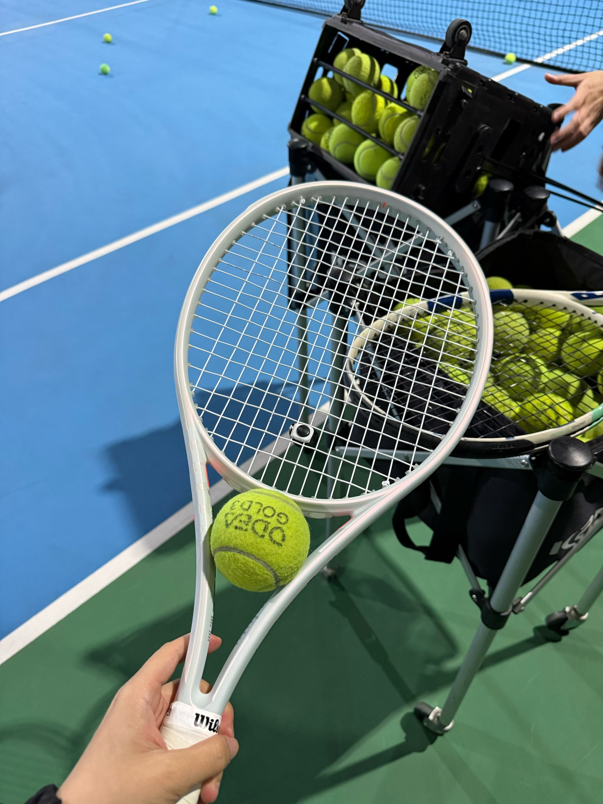 是因为担心 是因为担心