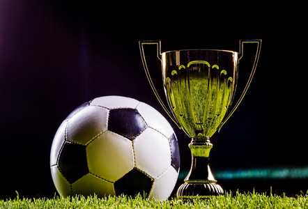 罚提升公信 罚提升公信